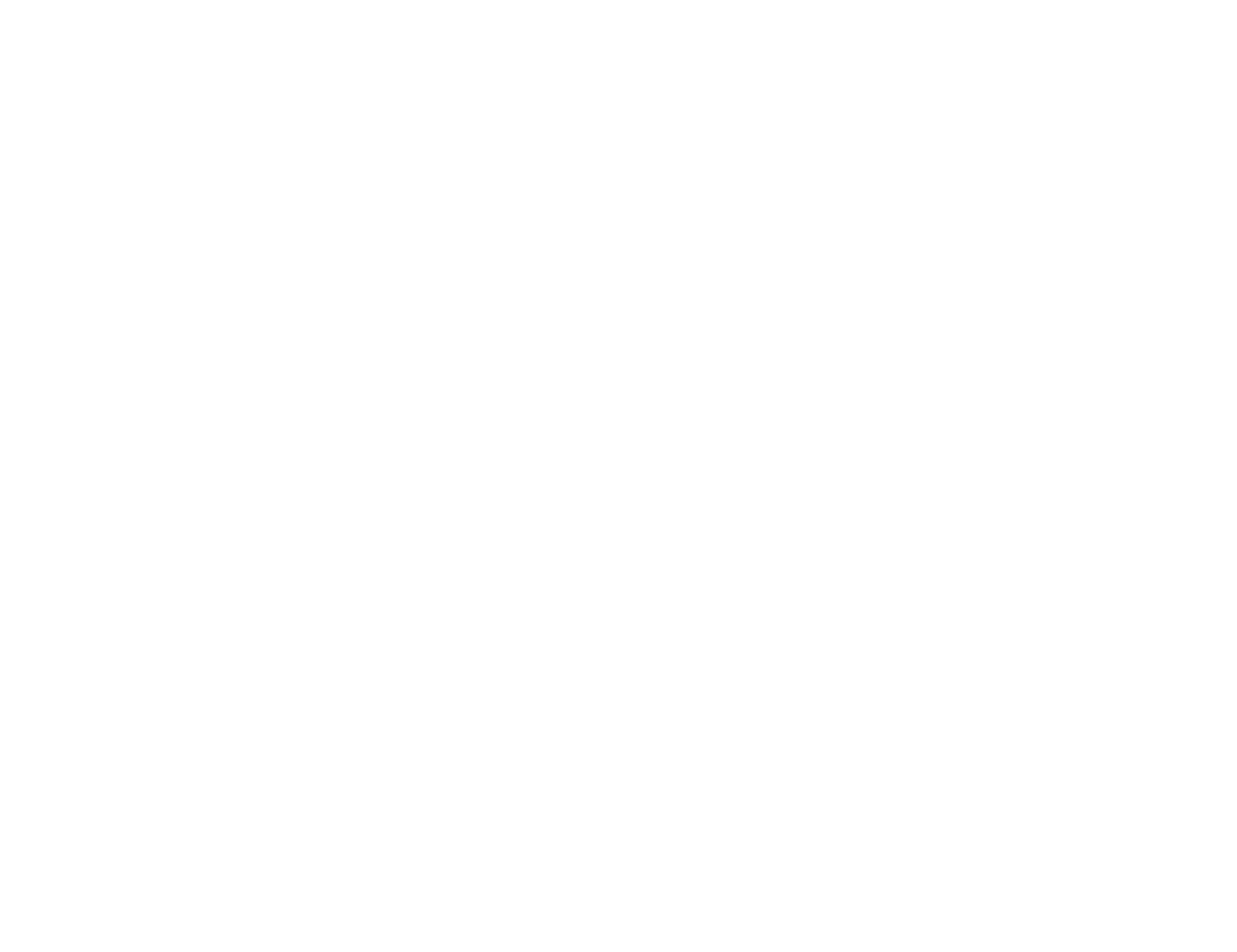 Nowak Logo