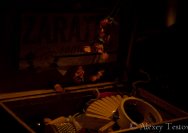 20.11.2010 Zarate