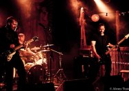 01.06.2011 Null8-Sprachrohr