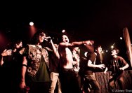 01.06.2011 Null8-Sprachrohr