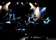 09.07.2011 The Pussies of Death