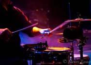 16.02.2011 Umsonst und Drinnen mit Diven &amp; Diverses und Duo Waldner-Amannsberger