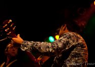 16.02.2011 Umsonst und Drinnen mit Diven &amp; Diverses und Duo Waldner-Amannsberger