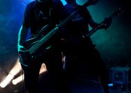 18.06.2011 Rosebud und Heavy Ride