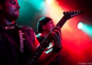 18.06.2011 Rosebud und Heavy Ride