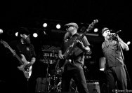       20.10.2011 Umsonst und Drinnen mit Los Tacos Blues Band
