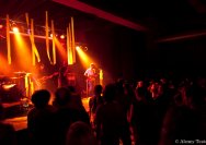 21.05.2011 Pink Plastik Jesus
