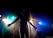 21.05.2011 Pink Plastik Jesus