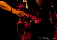 26.01.2011 Bad Bones