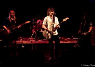 29.10.2011 3 Städte Rockt mit Pleased as Punch, Landflucht und Kreisverkehrt