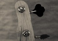 30.03.2011 Umsonst und Drinnen mit Rotten Jonnys und Ramonas