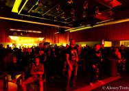 30.03.2011 Umsonst und Drinnen mit Rotten Jonnys und Ramonas