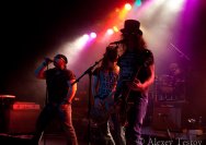 30.10.2011 Lower Bavarian Groove Tour mit Blind Sensation, Hot Sausage und The Brixtons