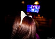 30.06.2012 From Disco to Disco