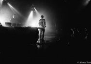 16.02.2013 Schwefelgelb