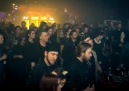 16.02.2013 Schwefelgelb