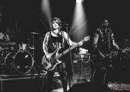 22.11.2013 Rather Raccoon und Amdamdes