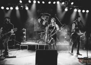 22.11.2013 Rather Raccoon und Amdamdes