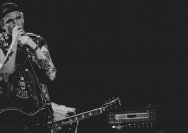 22.11.2013 Rather Raccoon und Amdamdes