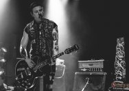 22.11.2013 Rather Raccoon und Amdamdes