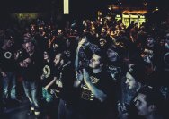 22.11.2013 Rather Raccoon und Amdamdes