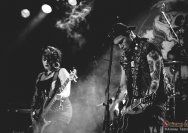 22.11.2013 Rather Raccoon und Amdamdes