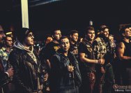 22.11.2013 Rather Raccoon und Amdamdes