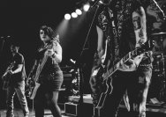 22.11.2013 Rather Raccoon und Amdamdes