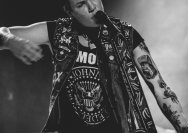 22.11.2013 Rather Raccoon und Amdamdes