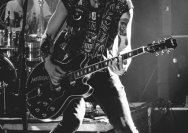 22.11.2013 Rather Raccoon und Amdamdes