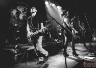 22.11.2013 Rather Raccoon und Amdamdes