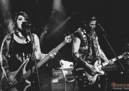 22.11.2013 Rather Raccoon und Amdamdes