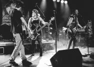 22.11.2013 Rather Raccoon und Amdamdes