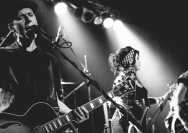 22.11.2013 Rather Raccoon und Amdamdes