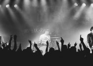 07.08.2014 Sportfreunde Stiller