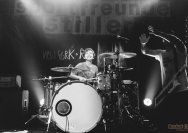 07.08.2014 Sportfreunde Stiller
