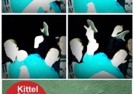 25.02.2017 Kittelschürzenparty - Fotobox