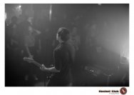 20.12.2018 Distel im Beton, Droke, Minipax