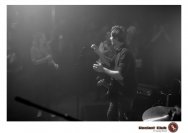 20.12.2018 Distel im Beton, Droke, Minipax