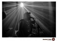 20.12.2018 Distel im Beton, Droke, Minipax