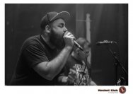 20.12.2018 Distel im Beton, Droke, Minipax