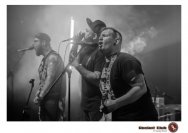 20.12.2018 Distel im Beton, Droke, Minipax