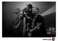 20.12.2018 Distel im Beton, Droke, Minipax