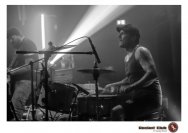 20.12.2018 Distel im Beton, Droke, Minipax