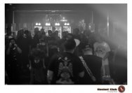 20.12.2018 Distel im Beton, Droke, Minipax