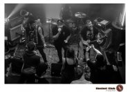 20.12.2018 Distel im Beton, Droke, Minipax