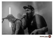 20.12.2018 Distel im Beton, Droke, Minipax