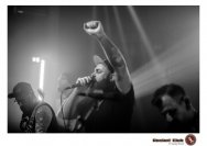 20.12.2018 Distel im Beton, Droke, Minipax