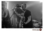 20.12.2018 Distel im Beton, Droke, Minipax