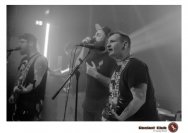 20.12.2018 Distel im Beton, Droke, Minipax